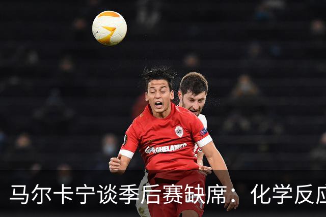 马尔卡宁谈季后赛缺席：化学反应与伤病制约